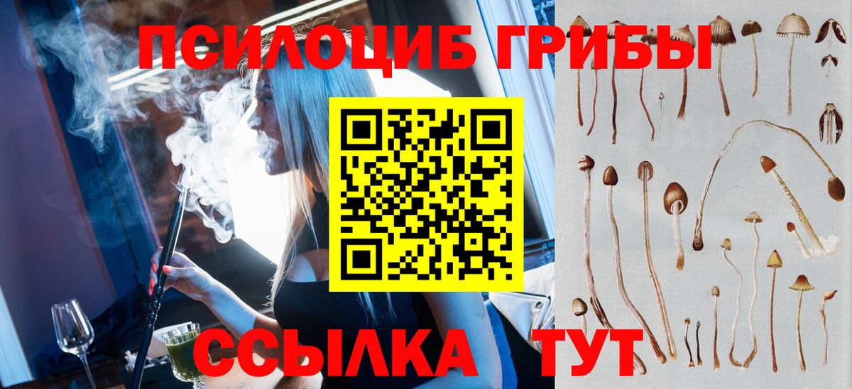 Псилоцибиновые грибы Cubensis  Псилоцибиновые грибы мицелий  Вход с VPN  Новоалтайск 