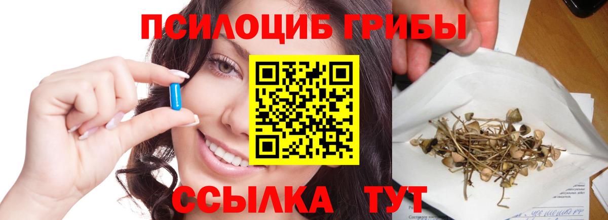 Псилоцибиновые грибы мухоморы Новоалтайск